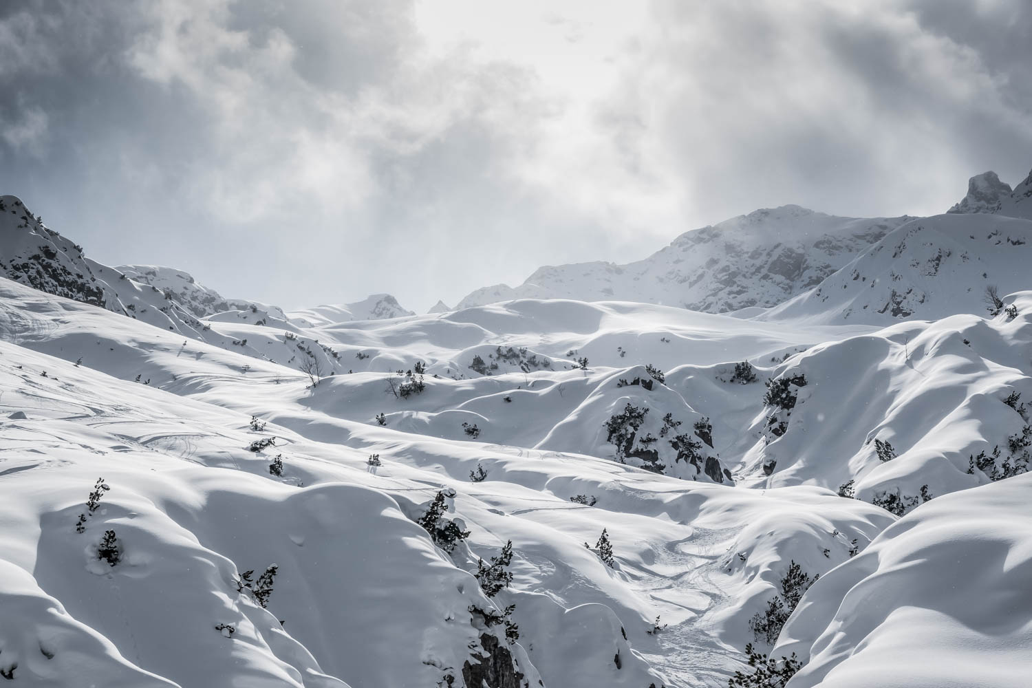 Naturpark Tiroler Lech